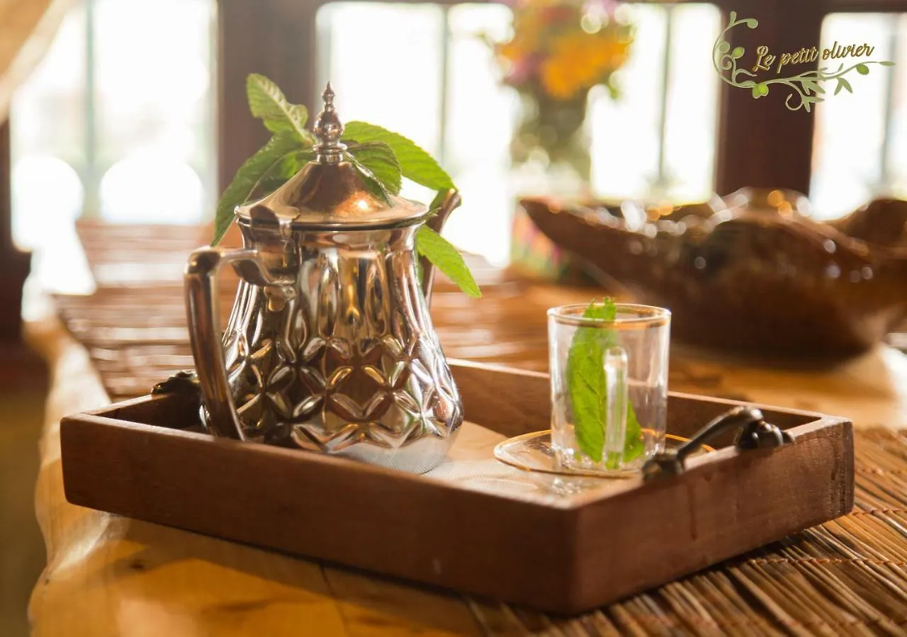 Le Petit Olivier Bed and Breakfast Túnez