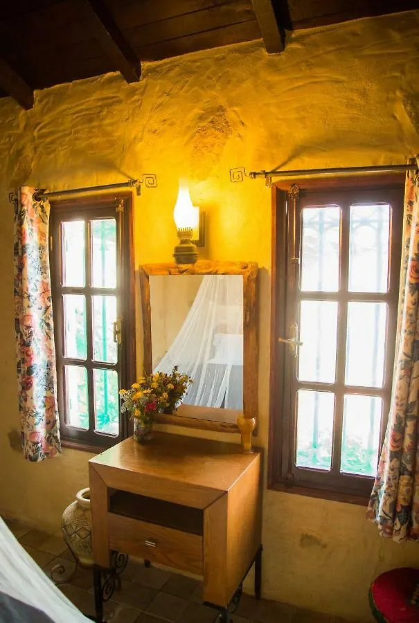 Le Petit Olivier Bed and Breakfast Túnez