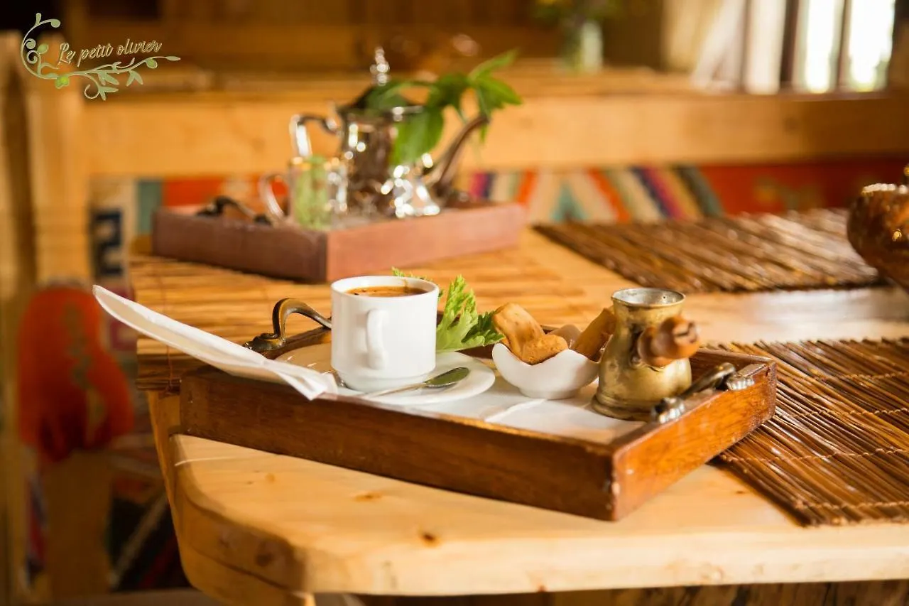 Le Petit Olivier Bed and Breakfast Túnez