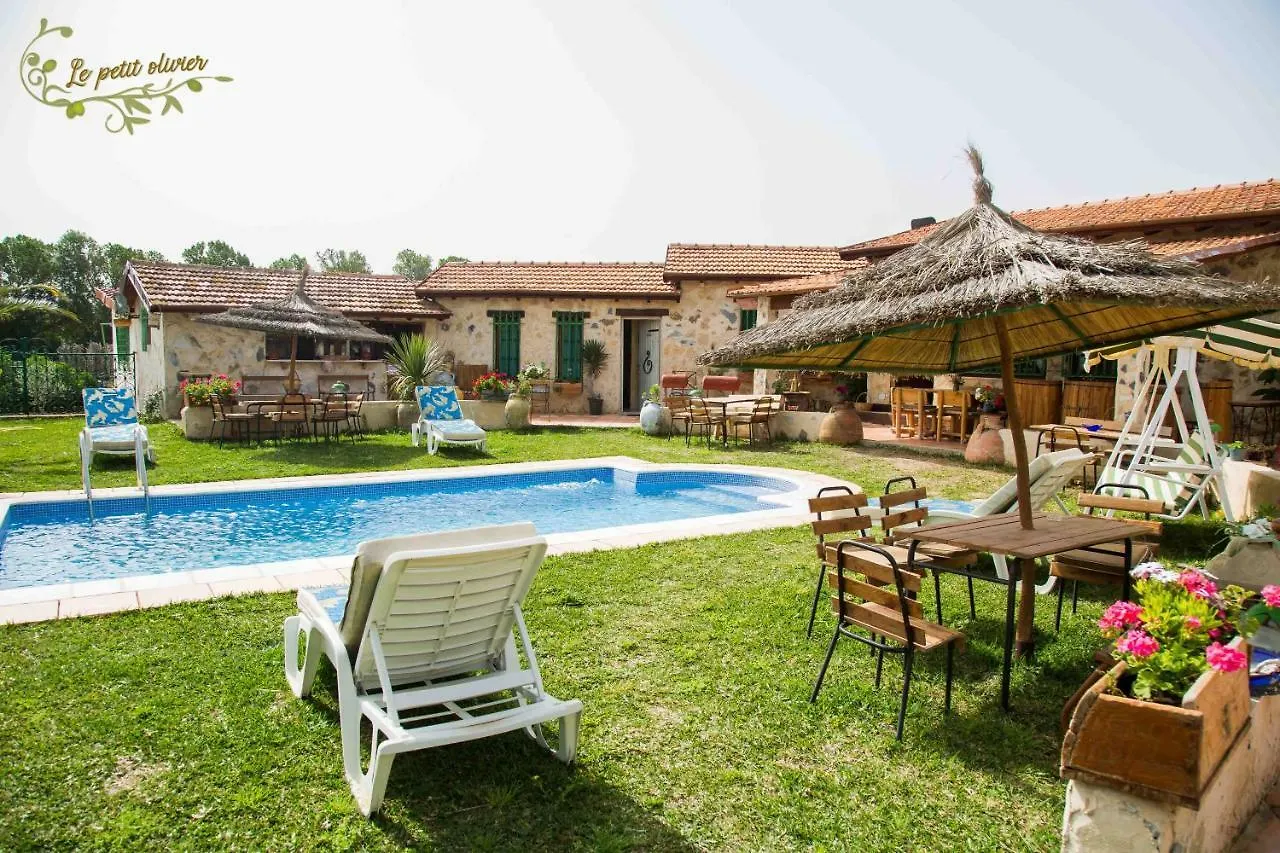 Le Petit Olivier Bed and Breakfast Túnez Túnez