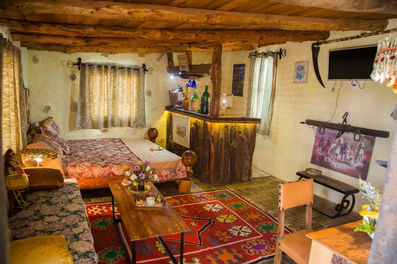 Le Petit Olivier Bed & Breakfast Tunis Tunisia