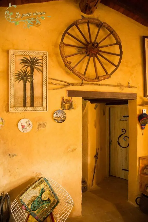 Le Petit Olivier Bed & Breakfast Tunis