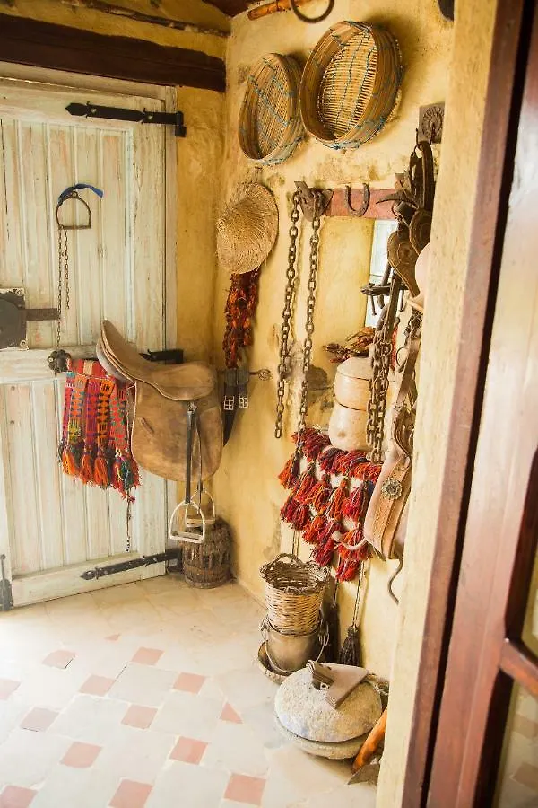 Le Petit Olivier Bed & Breakfast Tunis Tunisia